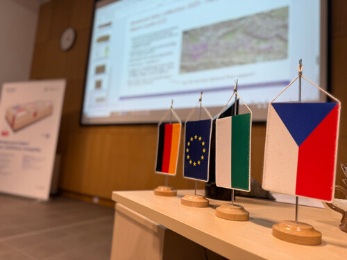 2025-11-26_transformon1