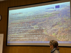 2025-11-26_transformon3