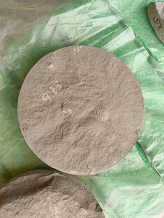 2025-10-30_paleontologie7 2025-10-30_paleontologie7