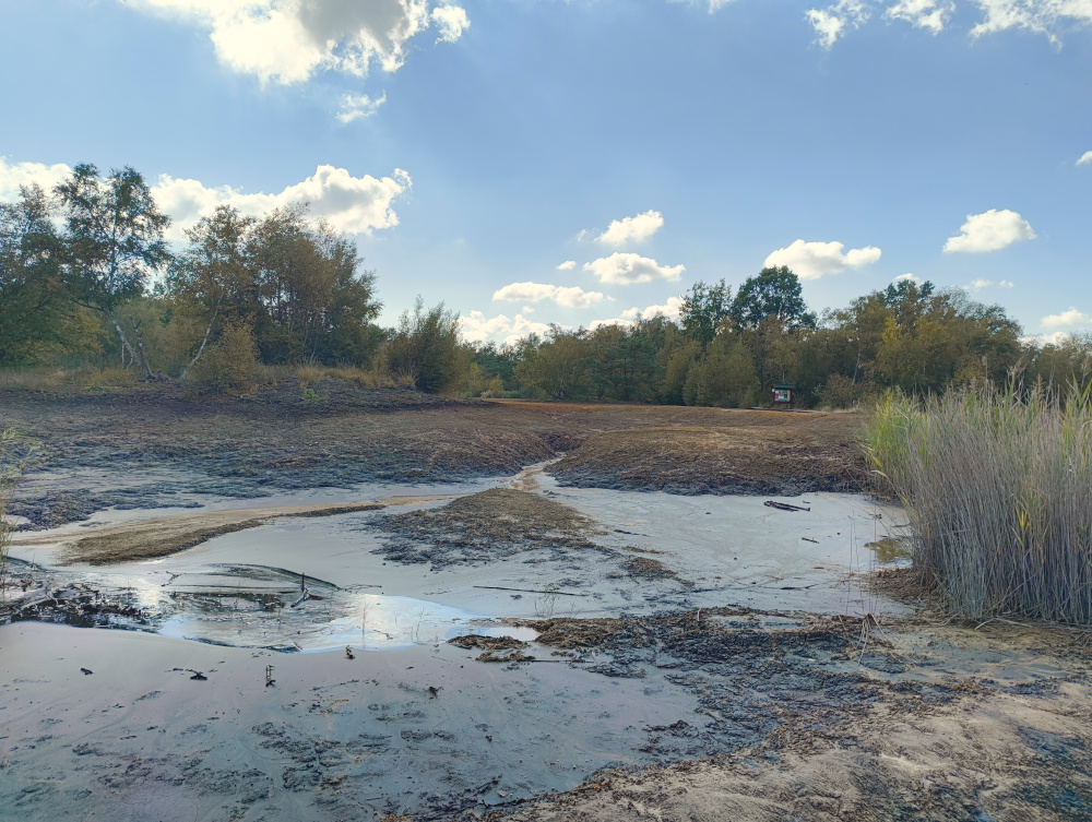 National nature reserve SOOS